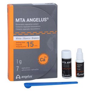 MTA Angelus