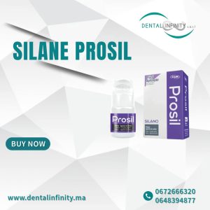 Silane Prosil FGM